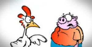 fable-poulet-cochon-couv2-oeildecoach 3