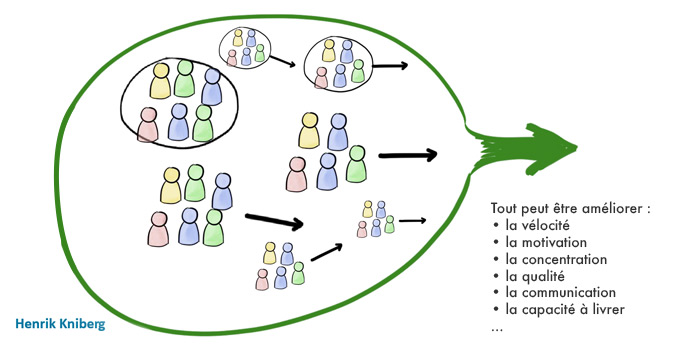 Organisation en réseau